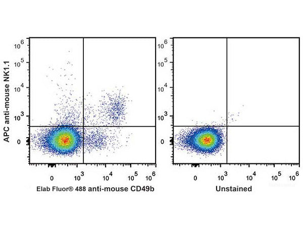 APC Anti-Mouse CD161/NK1.1 Antibody[PK136]– MSE Supplies LLC