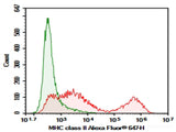 AF/LE Purified Anti-Mouse MHC II (I-A/I-E) Antibody[M5/114]