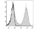 FITC Anti-Mouse MHC II (I-A/I-E) Antibody[M5/114]