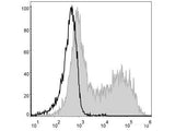 PE Anti-Mouse MHC II (I-A/I-E) Antibody[M5/114]