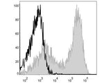 APC Anti-Mouse MHC II (I-A/I-E) Antibody[M5/114]