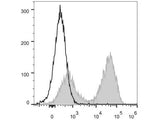 PerCP/Cyanine5.5 Anti-Mouse MHC II (I-A/I-E) Antibody[M5/114]