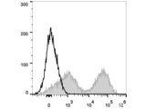 PE/Cyanine7 Anti-Mouse MHC II (I-A/I-E) Antibody[M5/114]