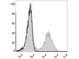 Elab Fluor® 488 Anti-Mouse MHC II (I-A/I-E) Antibody[M5/114]