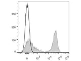 FITC Anti-Mouse MHC II (I-A/I-E) Antibody[M5/114]