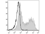 PE Anti-Mouse MHC II (I-A/I-E) Antibody[M5/114]