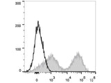 PE/Cyanine7 Anti-Mouse MHC II (I-A/I-E) Antibody[M5/114]