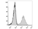 Elab Fluor® 488 Anti-Mouse MHC II (I-A/I-E) Antibody[M5/114]