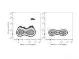 PE Anti-Mouse CD11c Antibody[N418]