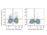 PerCP/Cyanine5.5 Anti-Mouse CD11c Antibody[N418]