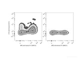 FITC Anti-Mouse CD11c Antibody[N418]