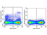 Elab Fluor® 647 Anti-Mouse CD11c Antibody[N418]