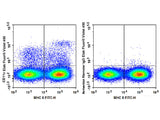 Elab Fluor® Violet 450 Anti-Mouse CD11c Antibody[N418]