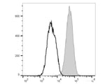 FITC Anti-Mouse CD80 Antibody[16-10A1]