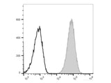 PE/Cyanine7 Anti-Mouse CD80 Antibody[16-10A1]