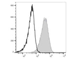 Elab Fluor® Red 780 Anti-Mouse CD80 Antibody[16-10A1]