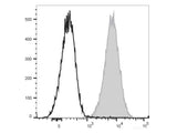 APC Anti-Mouse CD80 Antibody[16-10A1]