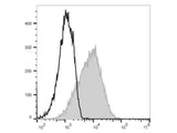 PE/Cyanine7 Anti-Human CD83 Antibody[HB15e]