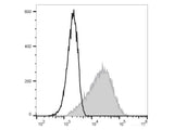 PE/Elab Fluor® 594 Anti-Human CD83 Antibody[HB15e]