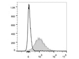 PE/Cyanine5.5 Anti-Mouse CD86 Antibody[GL-1]