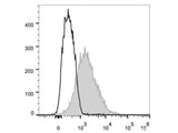 Elab Fluor® 488 Anti-Mouse CD86 Antibody[GL-1]