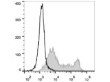 FITC Anti-Mouse CD86 Antibody[GL-1]