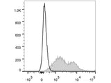 PE/Cyanine7 Anti-Mouse CD86 Antibody[GL-1]