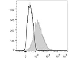 Elab Fluor® 488 Anti-Mouse CD86 Antibody[GL-1]