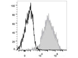 PE/Cyanine7 Anti-Mouse F4/80 Antibody[CI:A3-1]