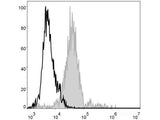 Elab Fluor® 488 Anti-Mouse F4/80 Antibody[CI:A3-1]