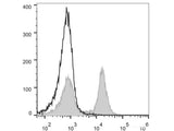 FITC Anti-Mouse CD16/32 Antibody[2.4G2]