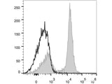 PE Anti-Mouse CD16/32 Antibody[2.4G2]