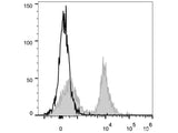 PE/Cyanine5 Anti-Mouse CD16/32 Antibody[2.4G2]