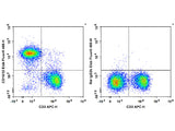 Elab Fluor® 488 Anti-Mouse CD16/32 Antibody[2.4G2]