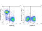 PE/Elab Fluor® 594 Anti-Mouse CD16/32 Antibody[2.4G2]