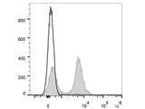 Elab Fluor® Red 780 Anti-Mouse CD16/32 Antibody[2.4G2]