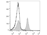 FITC Anti-Mouse CD16/32 Antibody[2.4G2]