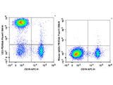 PE/Elab Fluor® 594 Anti-Human CD3 Antibody[OKT-3]