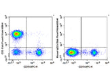 Elab Fluor® Violet 450 Anti-Human CD3 Antibody[OKT-3]