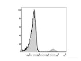 PE Anti-Human CD19 Antibody[CB19]