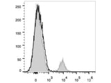 PE/Cyanine7 Anti-Human CD19 Antibody[CB19]