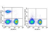 PE/Elab Fluor® 594 Anti-Human CD19 Antibody[CB19]