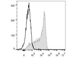 FITC Anti-Mouse CD62L Antibody[Mel14]