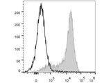 PerCP/Cyanine5.5 Anti-Mouse CD62L Antibody[Mel14]