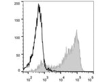 PE Anti-Mouse CD62L Antibody[Mel14]