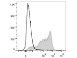 PE/Cyanine7 Anti-Mouse CD62L Antibody[Mel14]