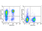 PE/Cyanine5.5 Anti-Mouse CD62L Antibody[Mel14]