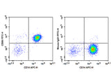 FITC Anti-Human CD86 Antibody[BU63]