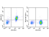 APC Anti-Human CD86 Antibody[BU63]