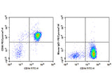 PE/Cyanine7 Anti-Human CD86 Antibody[BU63]